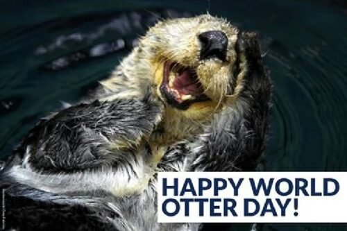 World Otter Day Wishes