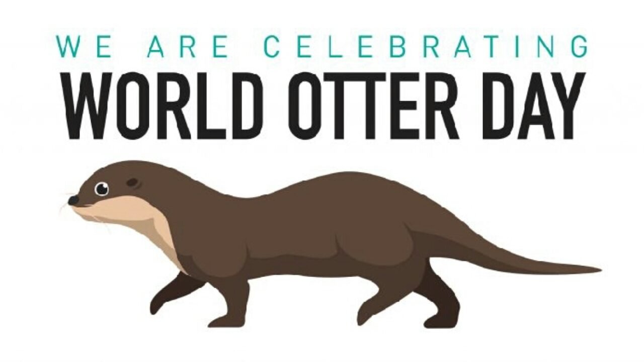 Happy World Otter Day Themes Wishes Quotes And Messages