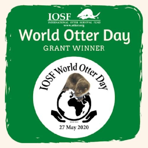 Happy World Otter Day Themes Wishes Quotes And Messages