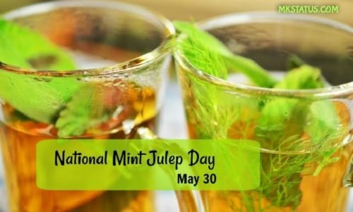 Mint Julep Day 2021 wishes images