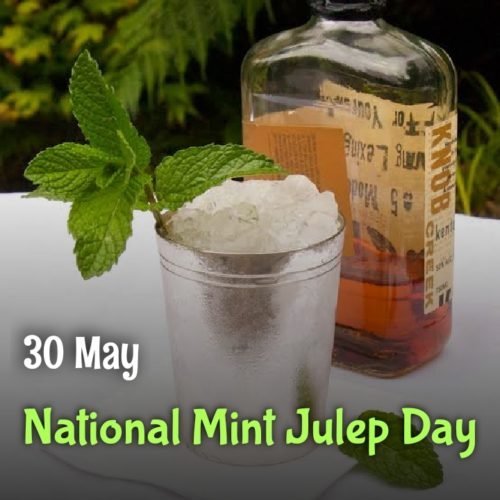 30 May Mint Julep Day wishes images