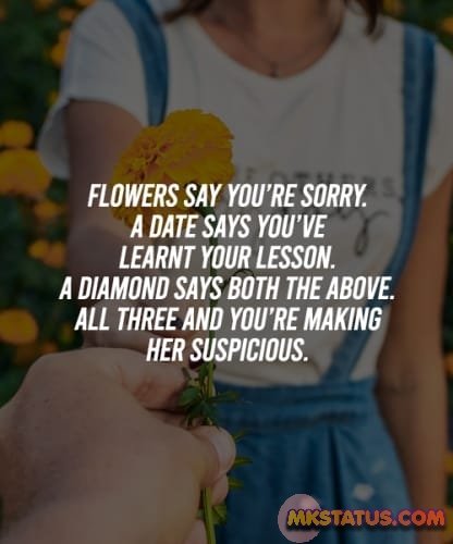Top Sorry Quotes for Sorry Day 2020 images