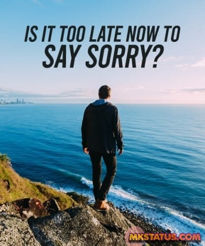 Sorry Messages images